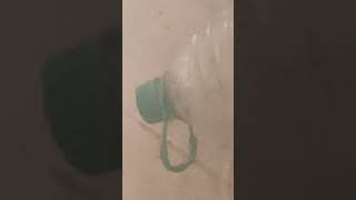 Sssssss Sssssss Dddddddd De A Aaaaa Z