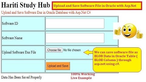 Upload and Save Software Exe in Oracle Database as BLOB Data Asp.Net C# | Hindi | Free Online Learn