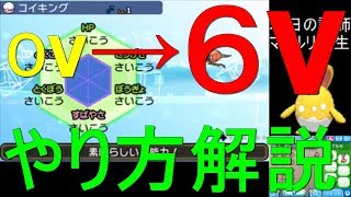 ウルトラサンムーン初心者講座 誰でも簡単 高個体の作り方 解説 ポケモンusum Youtube