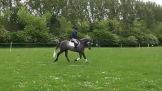 Shades of Grey. Flat work. May 2016