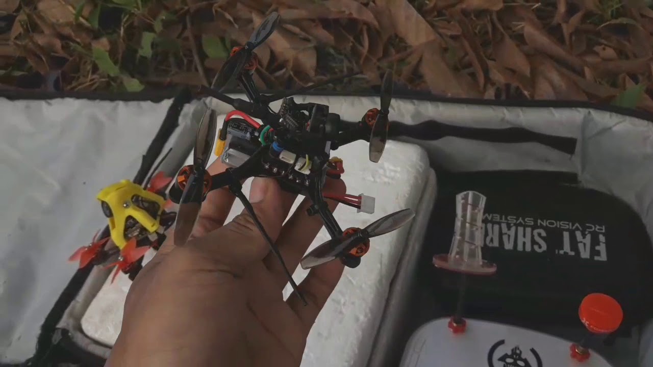 Maiden flight eachine tyro 69