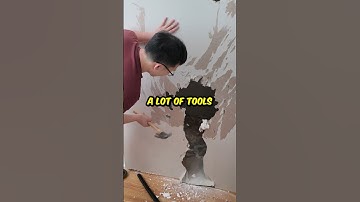 I Built a Secret Room for my Dog