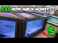 How Much Money Does It Cost To Build A Massive Plywood Aquarium?