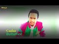 Sirbaa Qabsso Caala Bultuume 