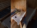 Традиционная русская баня в современной форме #баняизконтейнера