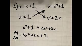 Calculus Video Project
