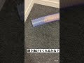 ハムスターパイプトンネル
