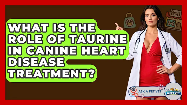 What Is The Role Of Taurine In Canine Heart Disease Treatment? - Ask A Pet Vet