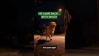 West Highland White Terrier &amp; Samoyed Return Home Together?! Lost Dog’s Heartwarming Rescue Story 🐶