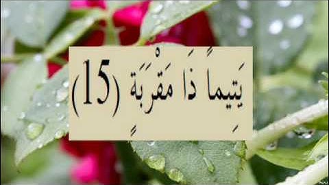 القران الكريم سورة البلد الاية 15