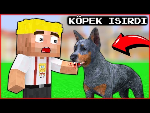 EFEKAN'I KÖPEK ISIRDI! 😱 - Minecraft