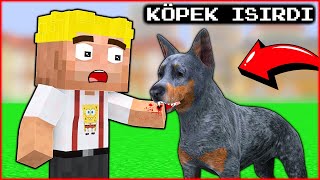 EFEKAN WAS BITTEN BY A DOG! 😱 - Minecraft