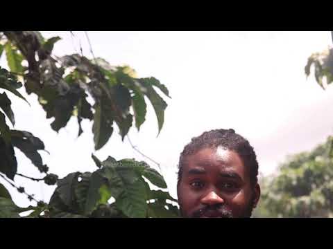 Video: Chezea Ndizi Na Kahawa