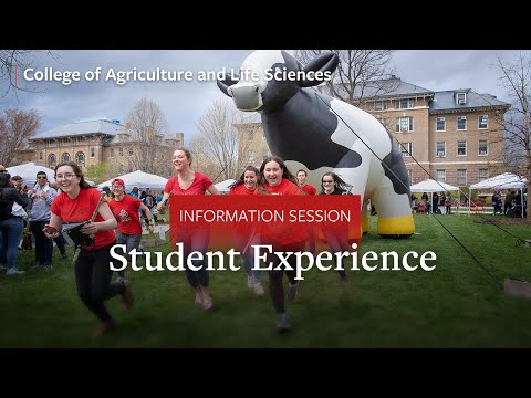 Cornell University College of Agriculture and Life Sciences Info Session Part 2: Student Experience
