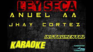 Ley Seca - Jhay Cortez ft Anuel AA (karaoke) *instrumental*