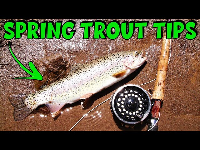Top 10 Early Spring Trout Fishing Tips 