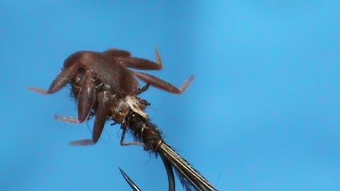 Fly Tying a Hemingway Floating Pheasant Tail with Jim Misiura