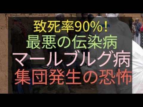 致死率90% 最悪な伝染病 マールブルグ病 集団発生の恐怖 #生き残り#終焉#サバイバル#プレッパー#食料危機 #食料不足 #食糧危機 #備蓄 #電気代 #値上げ #インフレ #エネルギー