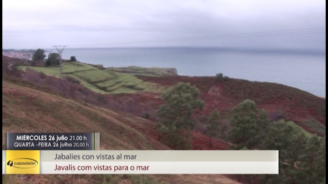 Jabalíes con vistas al mar. Miércoles 26 a las 21:00h