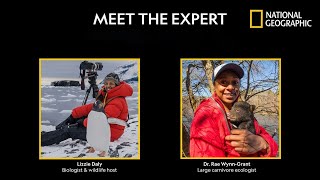 Face-to-Face with a Bear - Meet the Expert Live | National Geographic