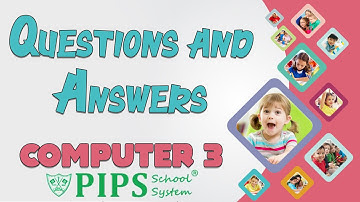 Grade 3 Lecture questions answers Chapter 2 More About Paint by PIPS School System Hafizabad