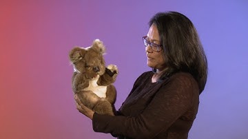 Folkmanis® Koala Puppet Demo - Retired