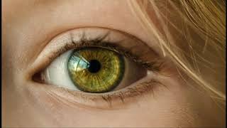 О возможных причинах появления черных точек в глазах