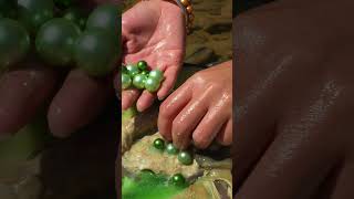 💚💚Green Eerie Pearl # River Clam