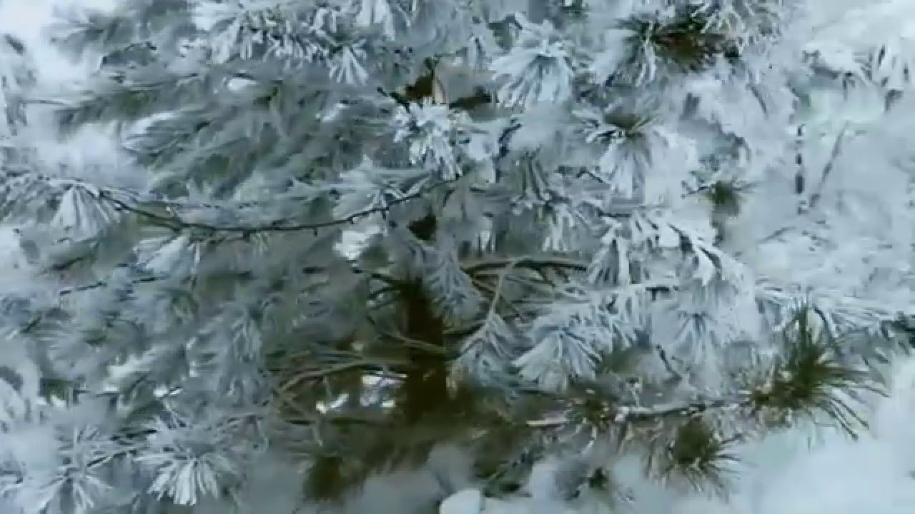 Слушать песню белым снегом ночь. Белый снег России (1980). Экомузей "белый снег". Наш белый снег.