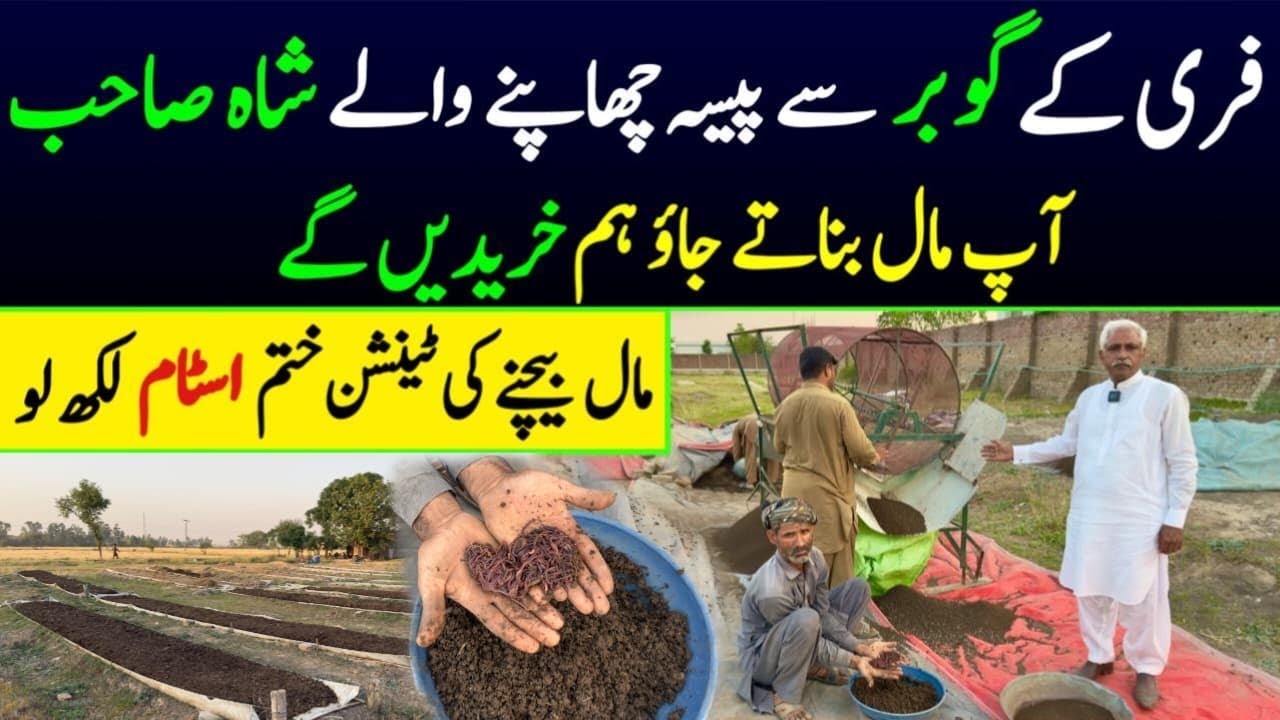 New business idea in pakistan 2025 | business ideas in pakistan | vermicompost business
