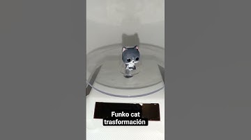 Funko Cat transformación #funko #funkohollywood #cat #gato #migato #funkopop #minifunko #mascota