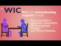 WIC Overview