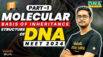 Molecular Basis of Inheritance Class 12 Chapter 6 | Structure Of DNA | NEET 2024 @VedantuTeluguNEET