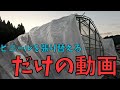 【ビニール張替え】ビニール張替えだけをこーちゃん目線で撮ってみたとです