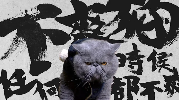 大学生《贪污零容忍》广告 - 不爽猫 (Grumpy Cat) - 天天要闻