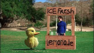 New Duck Song video! Live action: The Duck Song IRL (In Real Life).