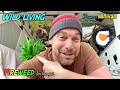 Spring Hooters || Wild Food Forage, Sooty Grouse, Shore Fishing, Off Grid Shower, Mountain Side Camp