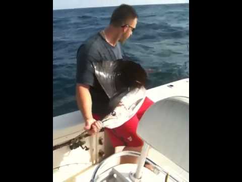 Sailfish aboard Nail Em'(Stuart)