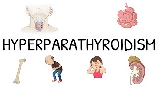 Hyperparathyroidism Primary, Secondary, and Tertiary - Simple and easy to understand