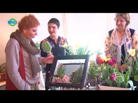 GDS დილა 23.03.2015 - ანი მამულაშვილის ჩართვა მოყვარულ მებაღეთა კლუბიდან “კონსოლიდა”