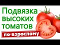 Подвязка высоких томатов. По взрослому