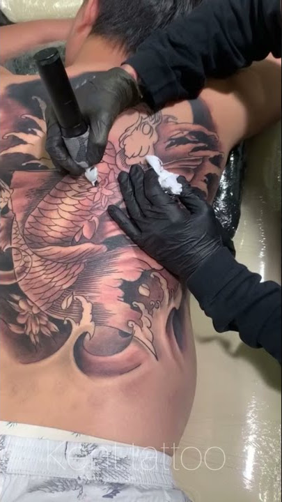Koi oriental (on progres)