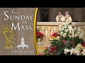 The sunday mass  may 5 2024  6th sunday of  easter cc