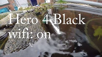 GoPro Hero 4 Black Edition sound issue with wifi