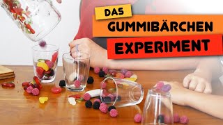 Das Gummibären Experiment | Sasek.TV