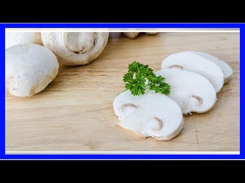 Pastel de champiñones camera iphone 8 plus apk