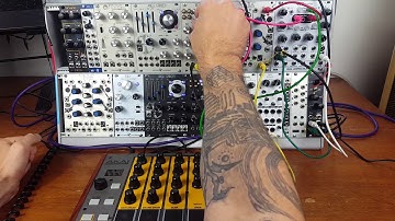 100 Grit Processing the Tom Cat