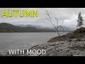 Autumn with a Touch of Mood - Landscape Photography in Autumn