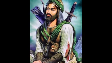 واحد لابد واحد شارد من هد عباس 