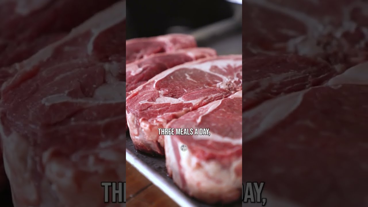 Meals On The Carnivore Diet 